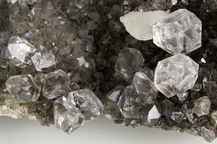 Herkimer Diamonds on Hydrocarbon Quartz - New York #324478